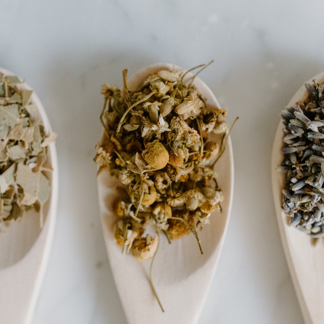 Nervous System Healing: 7 Everyday Practices Backed by Science & Spirit