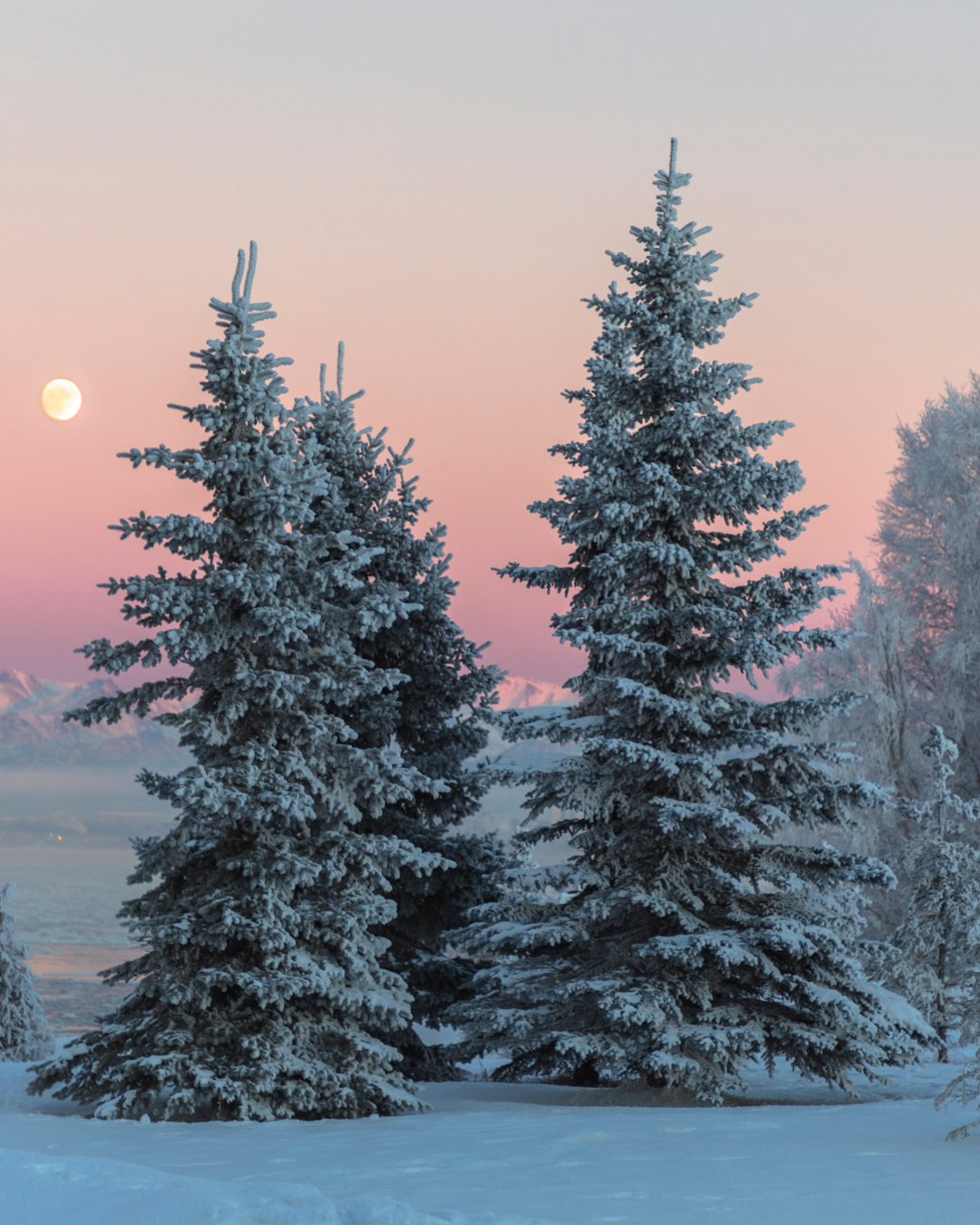 January is not a time to push.